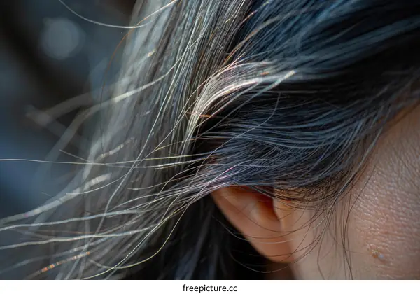 Close up of a woman's ear and hair