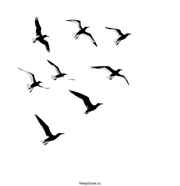 [Transparent Background PNG]Silhouette Birds in Flight Design