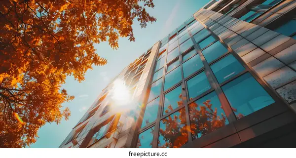 Modern Building with Autumn Leaves