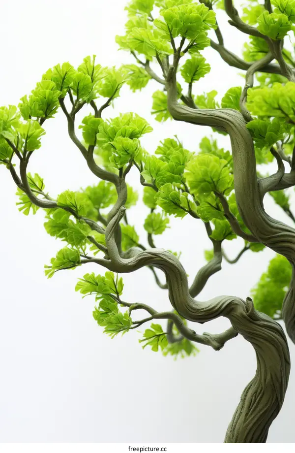 Bonsai Tree in Serenity: Green Leaves against White