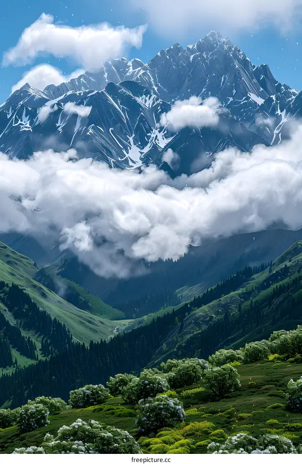 The Spectacular Snow-capped Mountains and Sea of Clouds