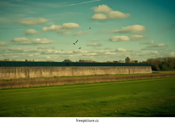 Birds Flying Over Green Field with Concrete Wall