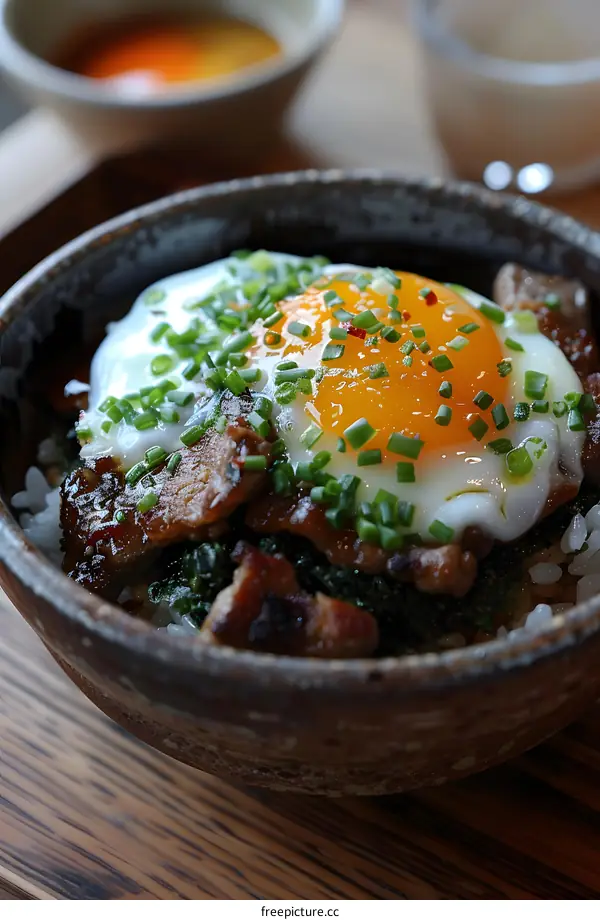 Beef rice bowl topped with egg