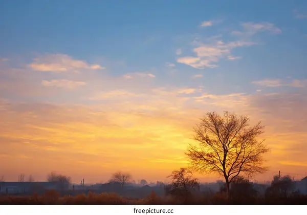 Sunrise over a solitary tree in a rural landscape