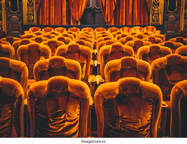 Rows of Empty Velvet Theater Seats