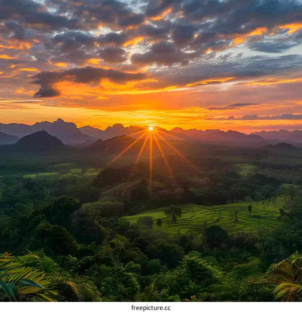 Scenic View of Mountains and Sunbeams Over Lush Green Foliage