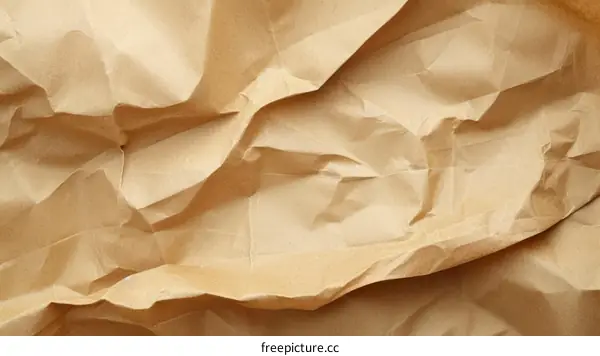 Close-up of crumpled brown paper texture