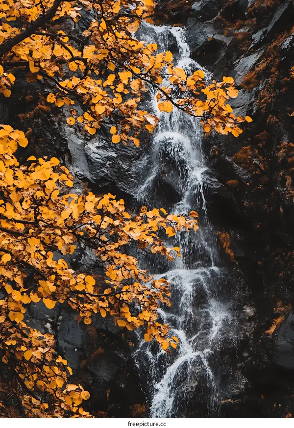 Waterfall Flowing Through Autumn Leaves