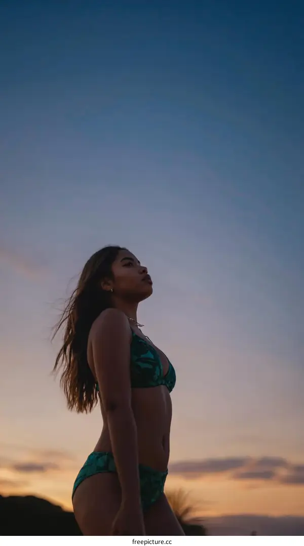 Sunset Silhouette of a Woman in Swimsuit