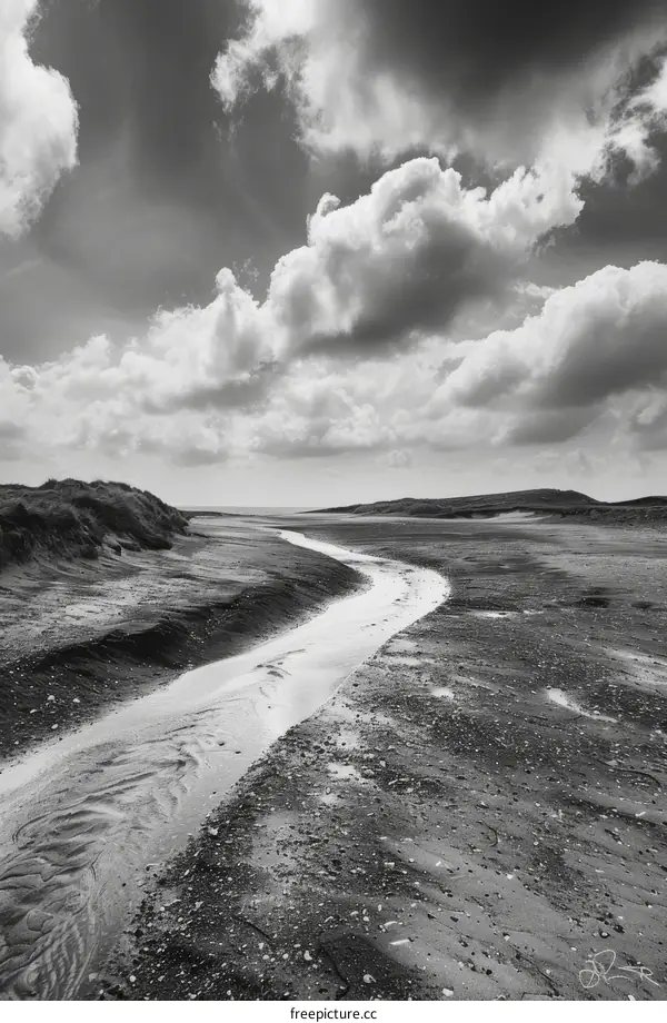 Solitude by the Sea: A Black and White Tidal Creek