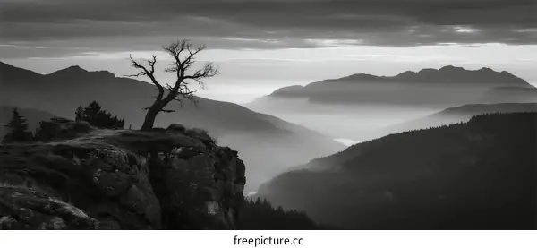 Lone leafless tree stands on mountain cliff at dawn