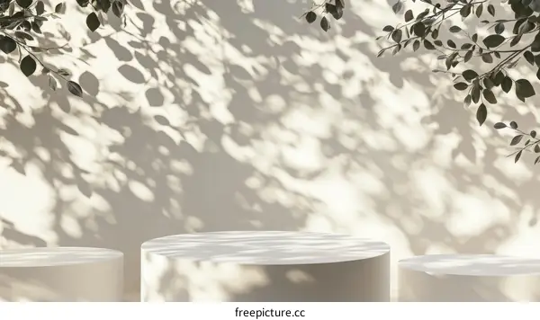 Elegant Empty Product Display Stand with Natural Light