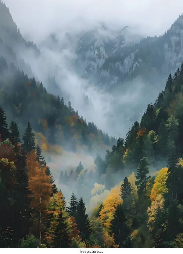 Misty mountain landscape with colorful autumn trees