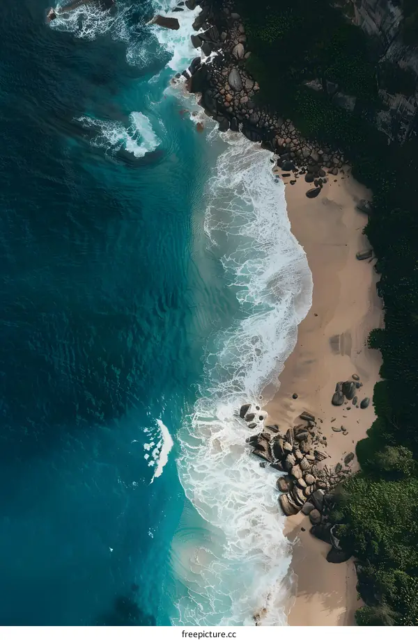 Aerial View of a Beach with Blue Ocean and Green Trees