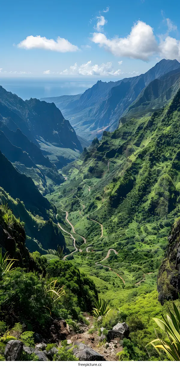 A winding road through a lush green valley