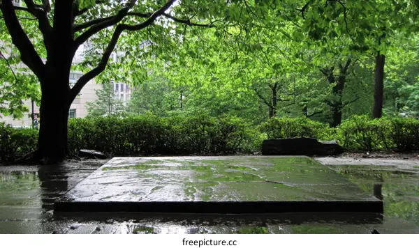 Rainy Park Plaza in Urban Green Space