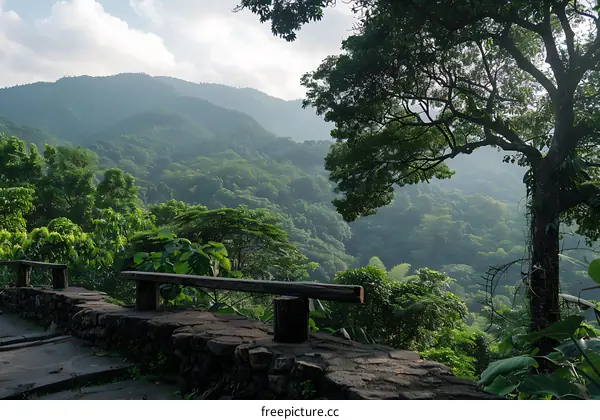 Mountain View with Green Trees and Wooden Bench