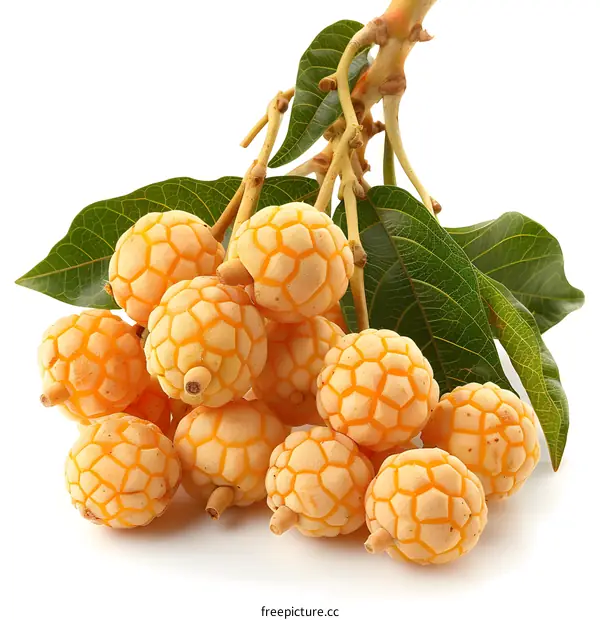 Ripe yellow fruits with leaves