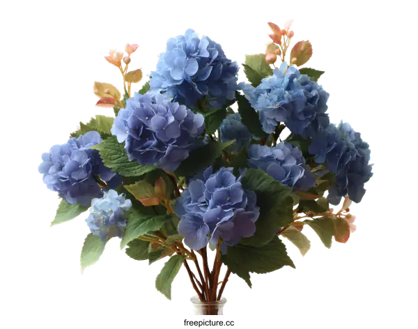 [Transparent Background PNG]A Stunning Arrangement of Light Blue Hydrangeas