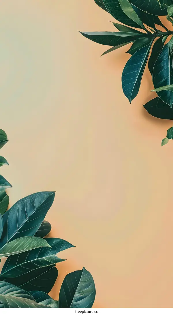 Green Leaves on Tan Background Minimalist Photography