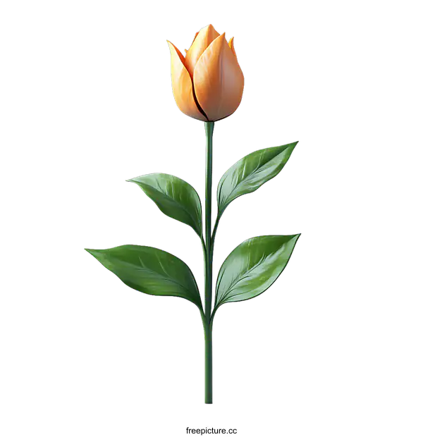 [Transparent Background PNG]Orange Tulip Flower Illustration on White Background