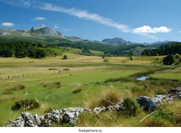 mountain field under blue sky