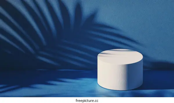 Abstract Modern Product Display with Palm Leaf Shadow