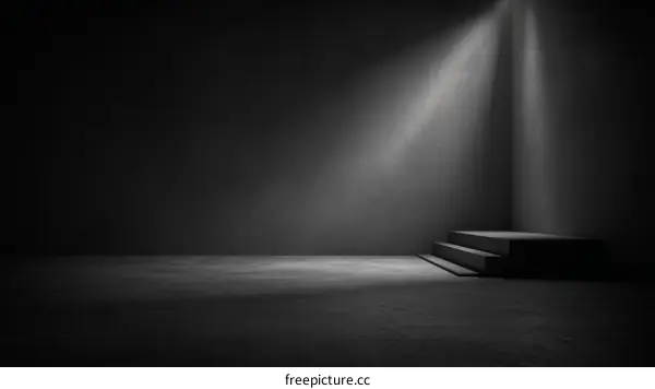 Dark Concrete Studio Stairway Display