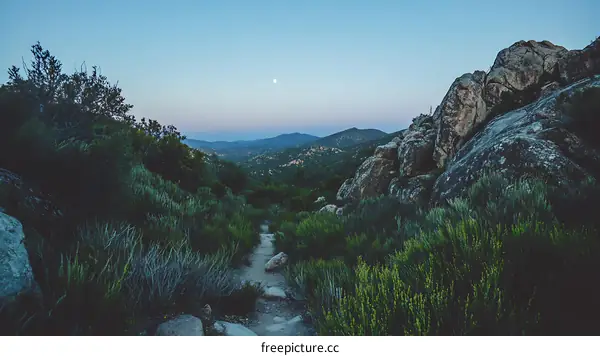 Moonlight Trail Through Mountain Landscape