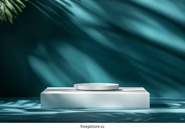 Modern Minimalist Product Display