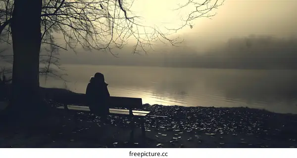 Silhouette of a Person Sitting on a Bench by a Lake in Fog