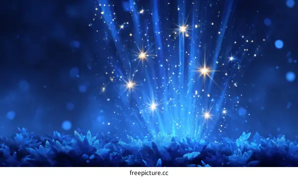 Winter Nights Sparkle and Shine