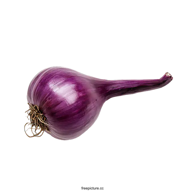 [Transparent Background PNG]Purple Onion Isolated On transparent background