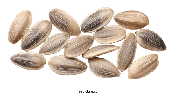 [Transparent Background PNG]Close Up of Sunflower Seeds