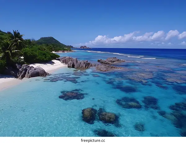 Tropical Beach with Clear Turquoise Waters and Lush Greenery