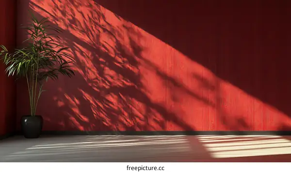 Red Room Interior with Sunlight and Plant Shadows