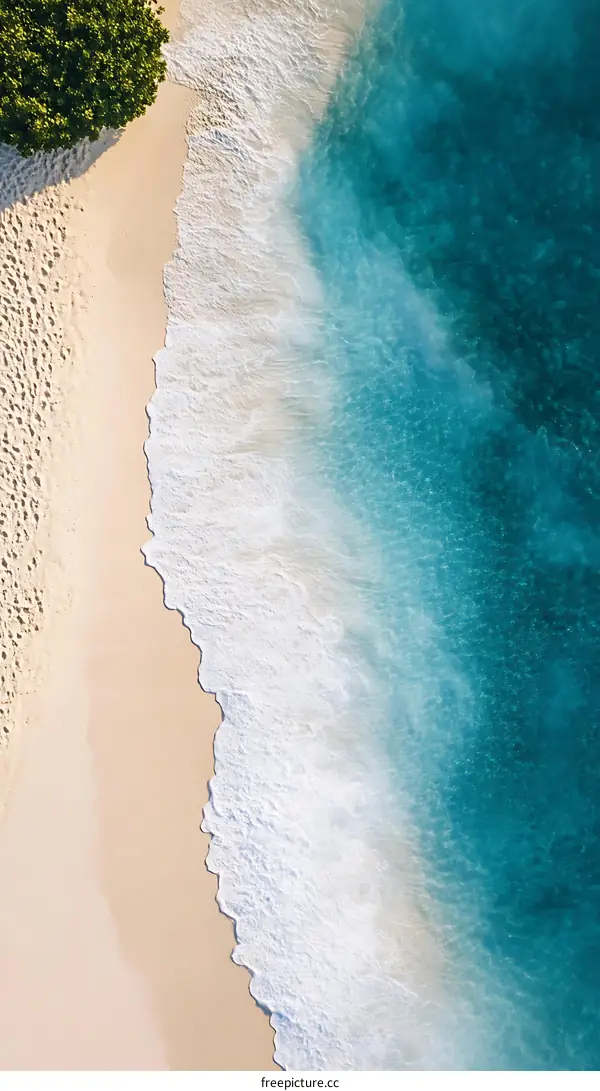 Aerial View of White Sand Beach and Turquoise Ocean Water