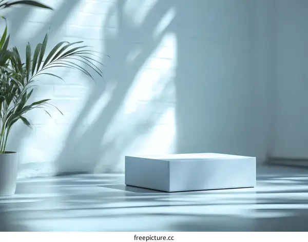 Modern Minimalist Product Display Studio