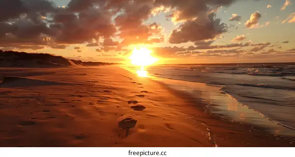 Footprints in the sand at sunset