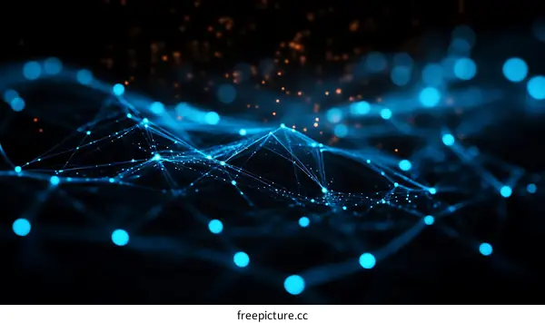 Abstract Network of Digital Connections