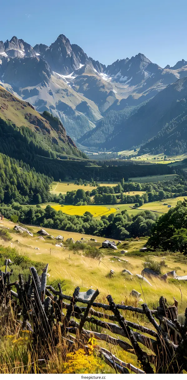 Alpine Meadow with Mountain View