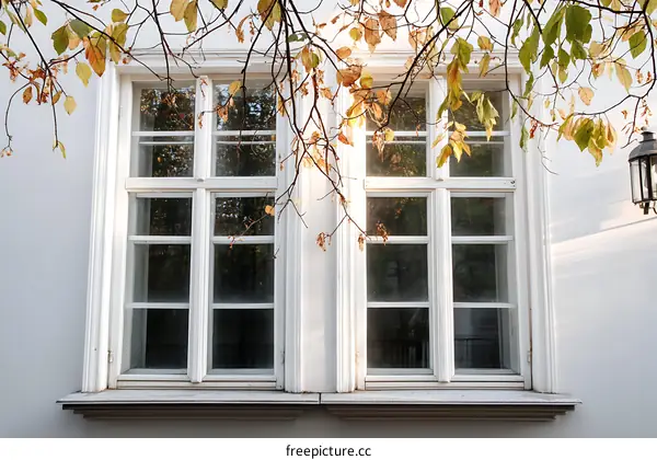 Autumn Sunlight on a Classic White Building Window