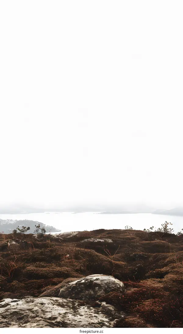Minimalist Landscape with Foggy Horizon and Distant Water