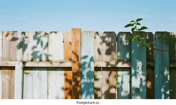 A weathered wooden fence with green plant shadow in sunlight