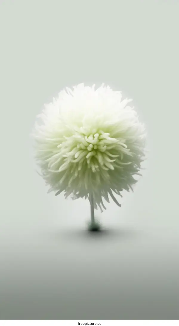 A 3D rendering of a white dandelion flower in full bloom against a pale green background.