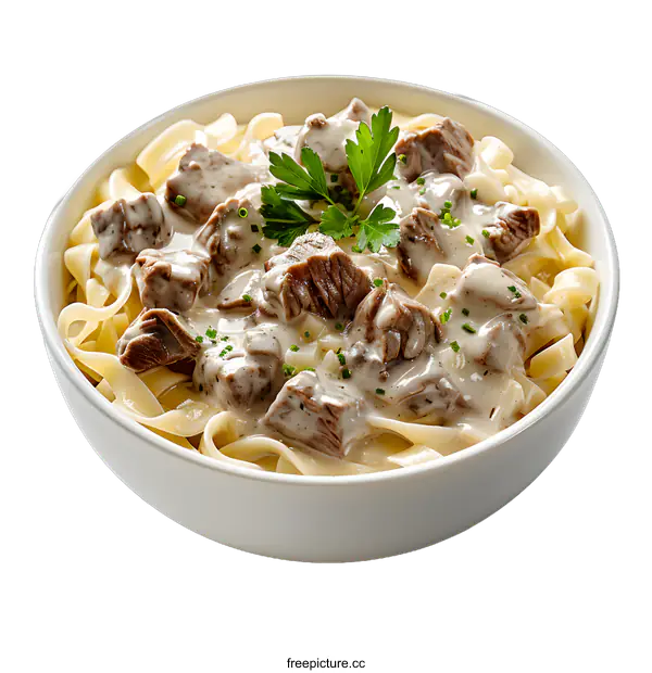 [Transparent Background PNG]Pasta with creamy sauce and beef