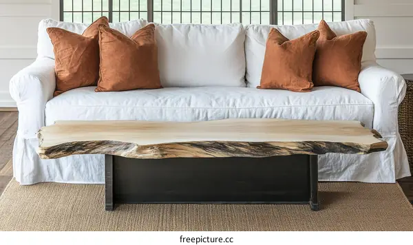 Modern Rustic Coffee Table with White Sofa