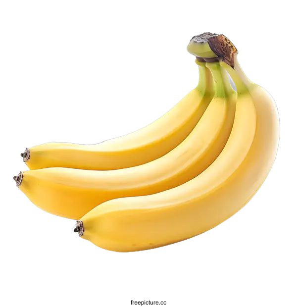 [Transparent Background PNG]Four ripe bananas on white