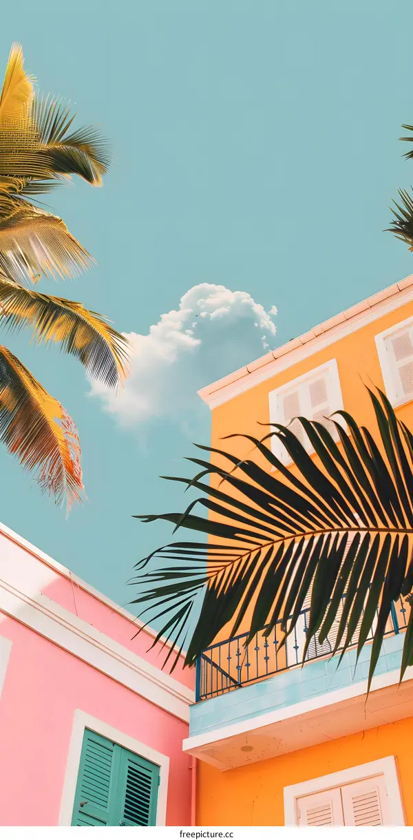 Tropical Palm Trees and Colorful Houses with Blue Sky