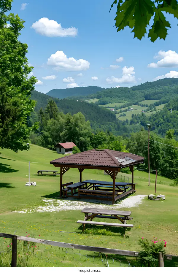 Wooden Gazebo with Picnic Tables in a Green Meadow
